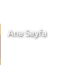 Ana Sayfa