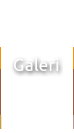 Galeri